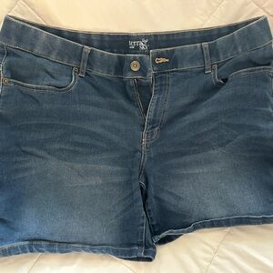 Terra & Sky Classic Blue Jeans